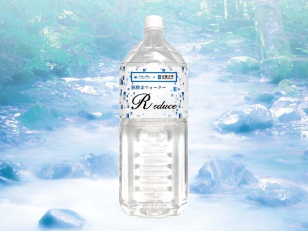 定期購入6カ月分　脱酸素ウォーター（2L）